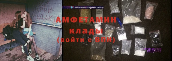 молекула духа Осташков