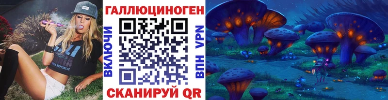 Галлюциногенные грибы Psilocybe Орлов